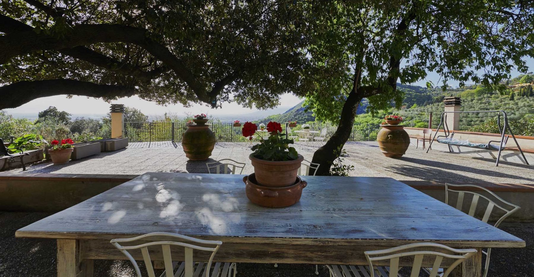 Under the oak tree